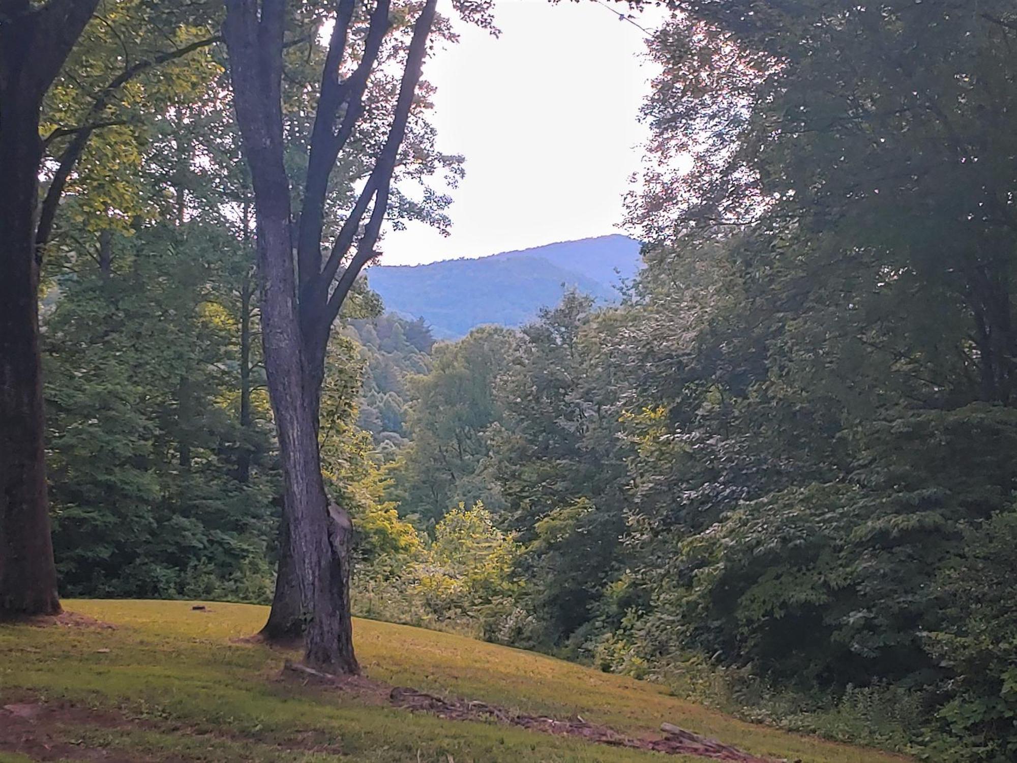 Bryson City Creekside Home With Hot Tub- 3 Bedroom-2 Bath Home 外观 照片